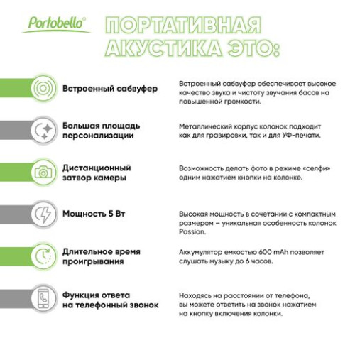 Беспроводная колонка Пэшн (Passion) 80dB 600 mAh (Bluetooth 5.0), серебряная