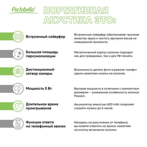 Беспроводная колонка Пэшн (Passion) 80dB 600 mAh (Bluetooth 5.4), серебряная